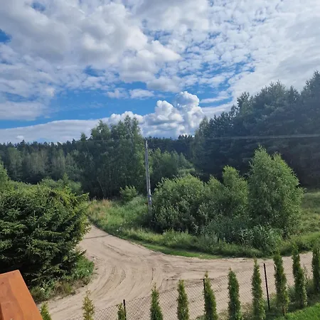 Olszevita *